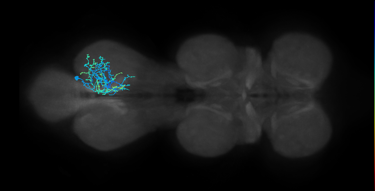 IN01B008_T3_R (MANC:22673)