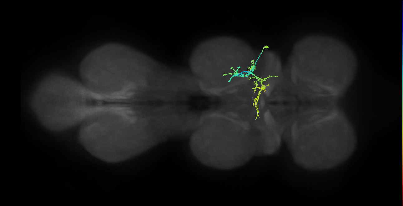 IN09A027_T2_R (MANC:22754)