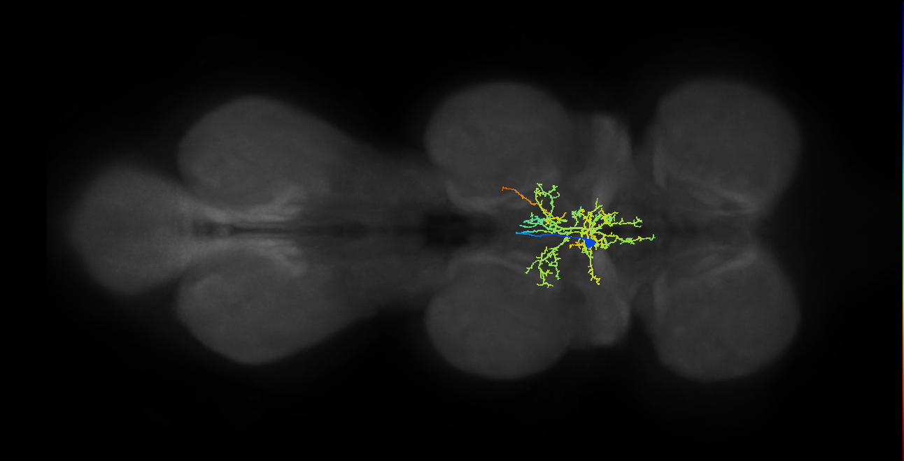 IN00A074_T2_M (MANC:22805)