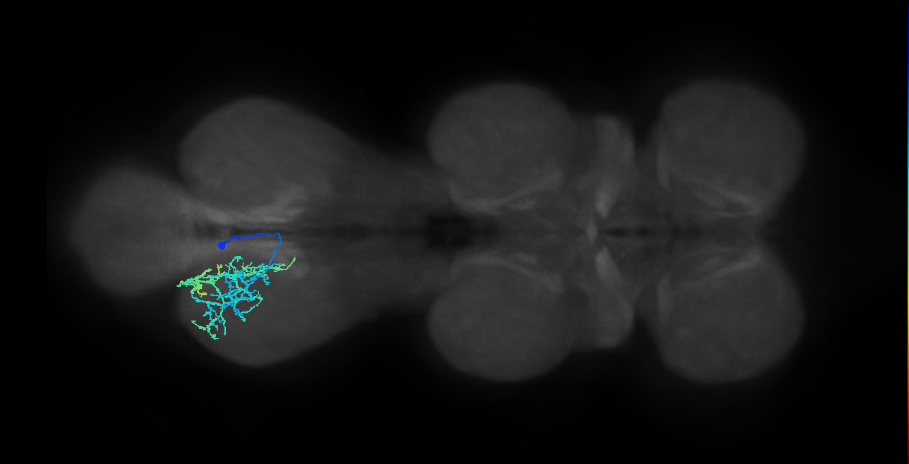 IN13B019_T3_R (MANC:22811)