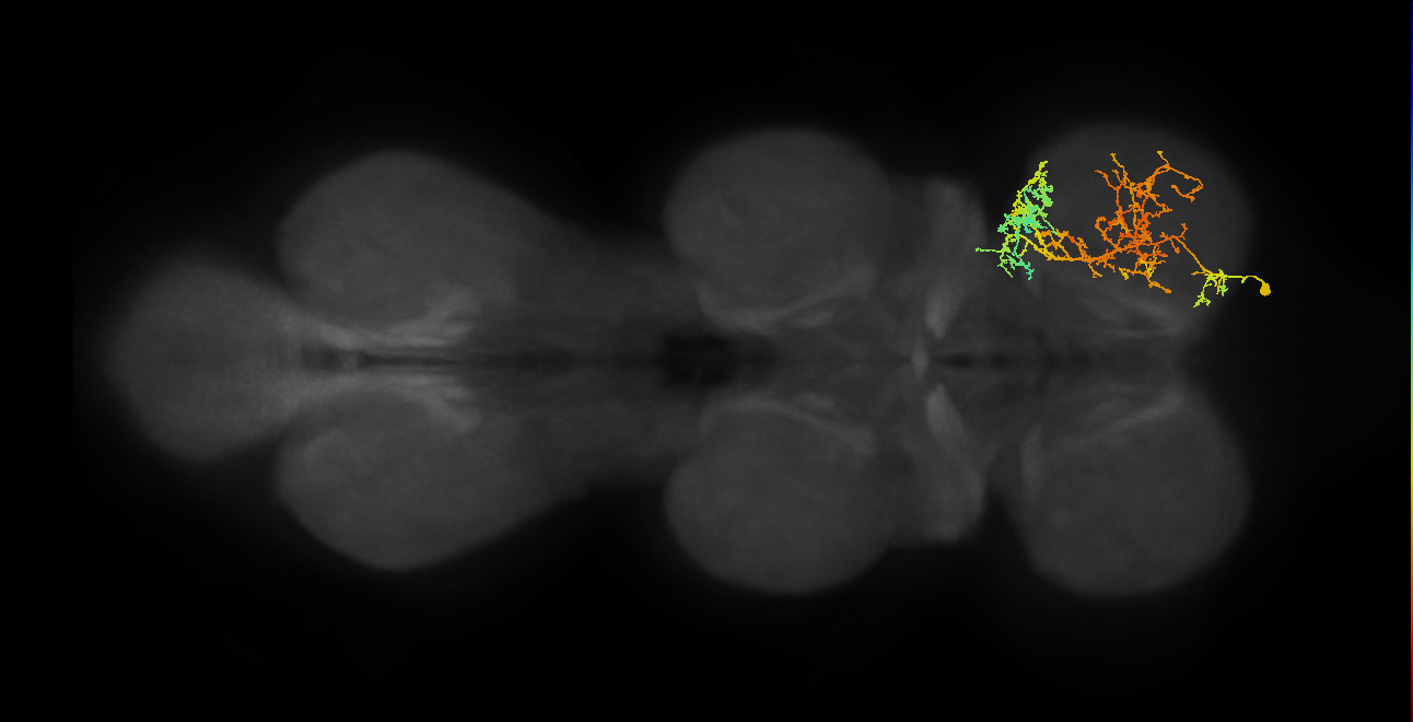 IN08A029_T1_R (MANC:22843)