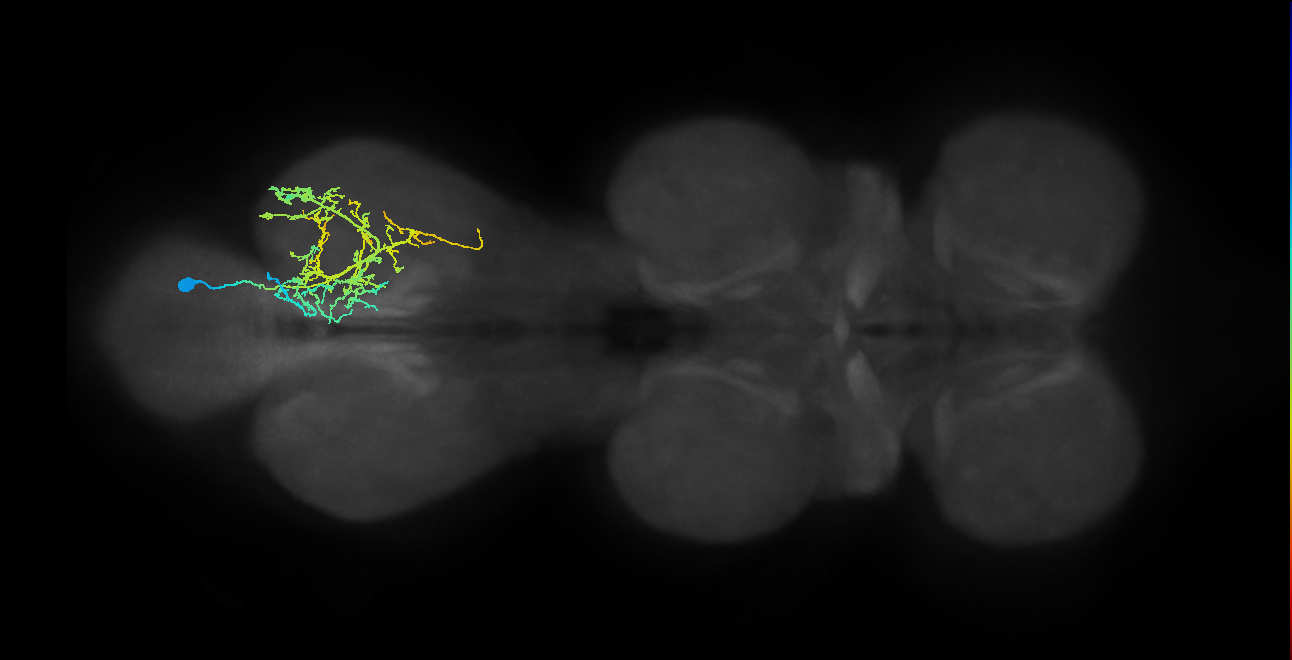 IN21A035_T3_R (MANC:22879)