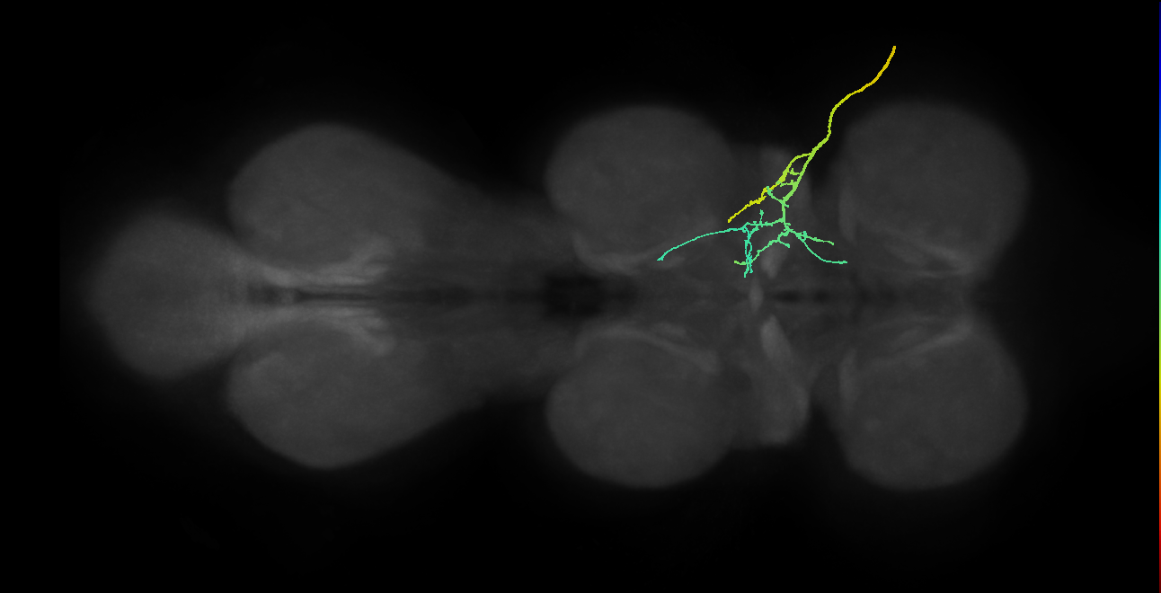 SNpp10_ADMN_R (MANC:22885)