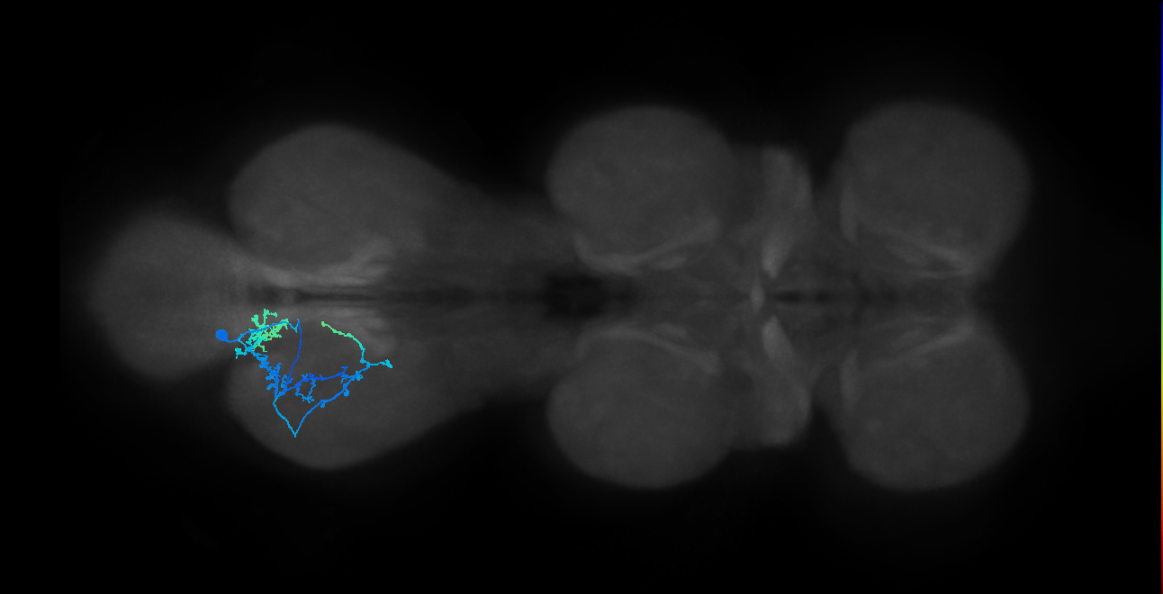 IN01B006_T3_L (MANC:22900)