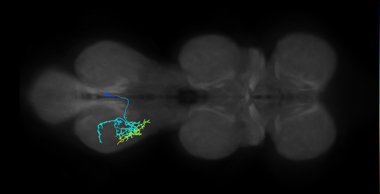 IN14A004_T3_R (MANC:22939)