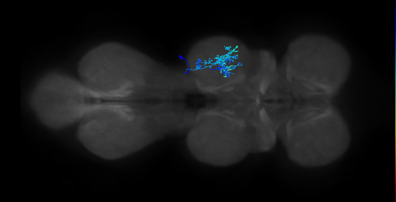 IN20A.22A018_T2_R (MANC:22945)