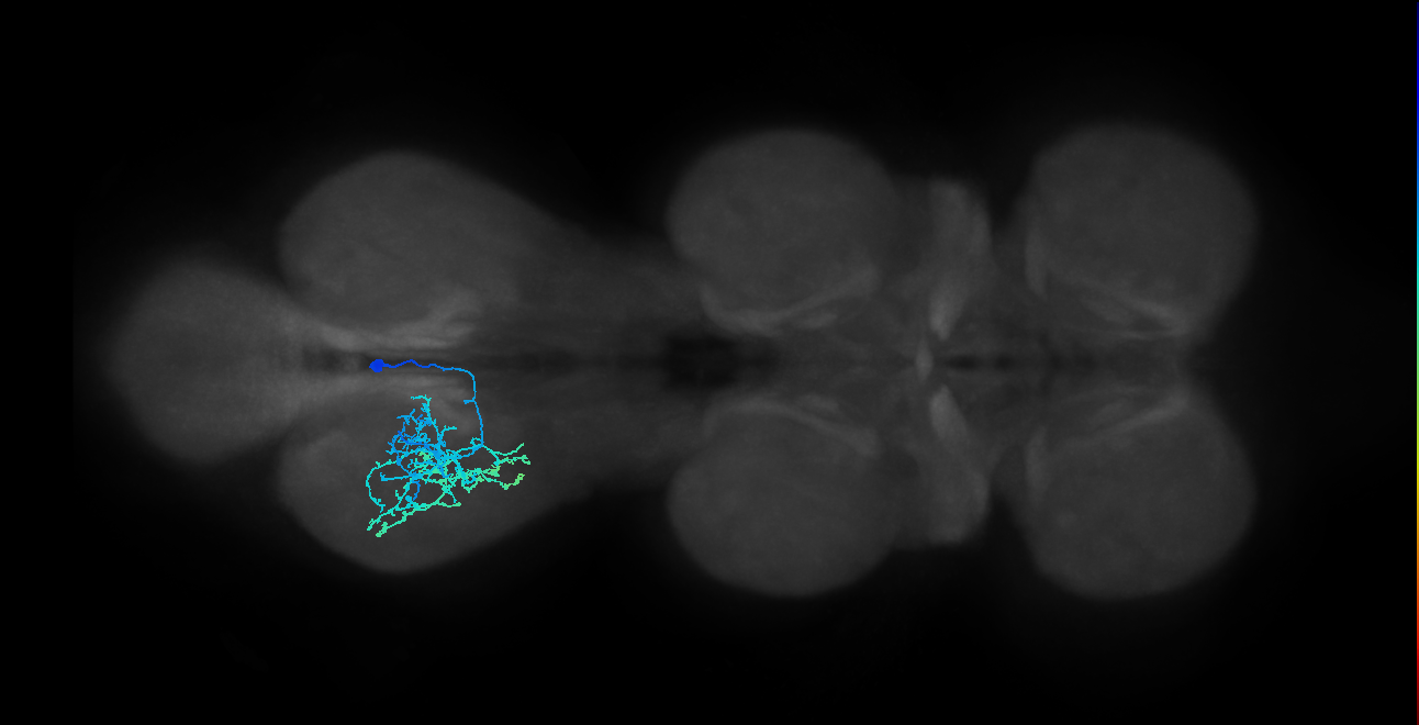 IN14A006_T3_R (MANC:22958)