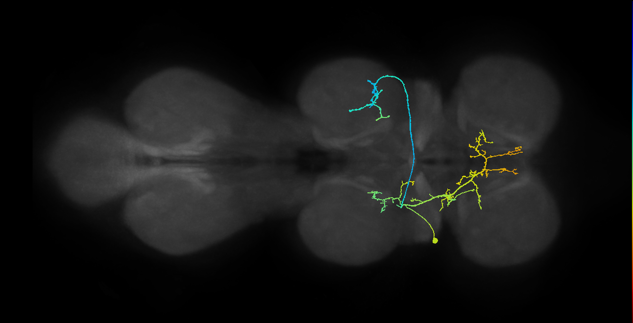IN01A067_T2_L (MANC:22962)
