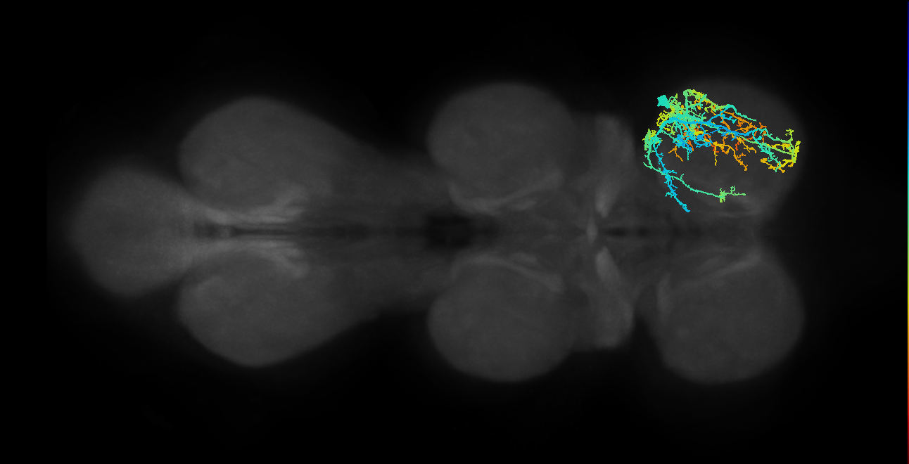 IN20A.22A002_T1_R (MANC:22980)