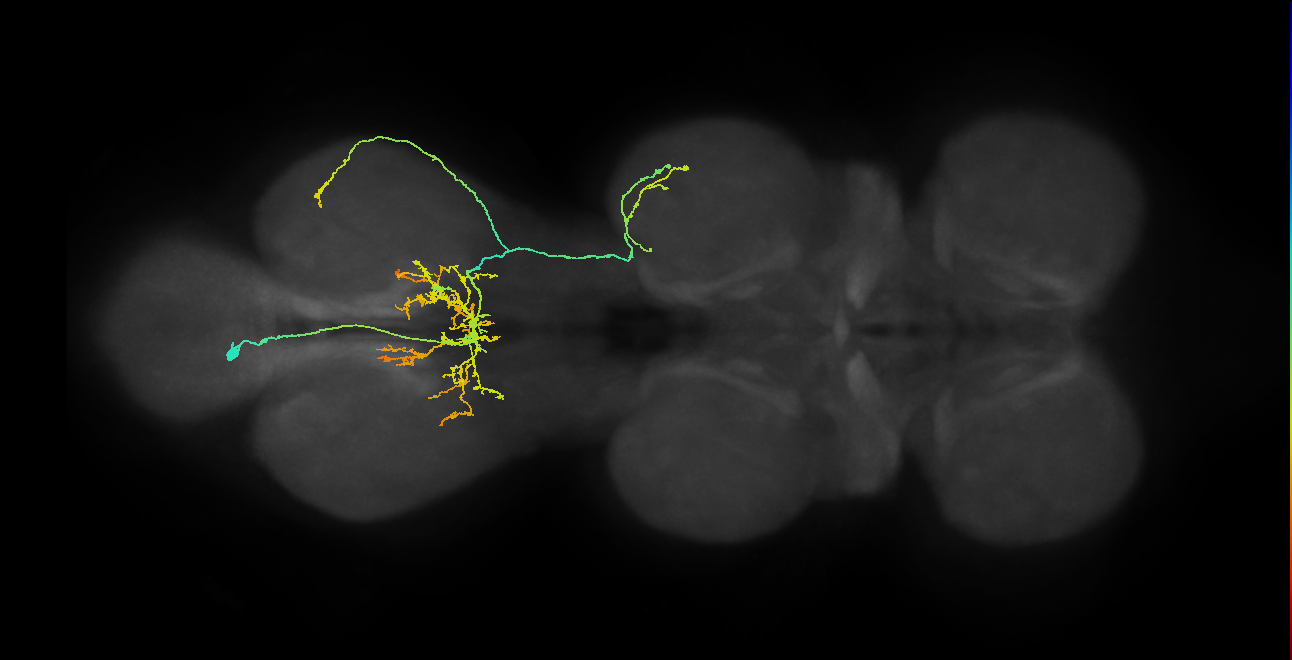 IN12B016_T3_L (MANC:23025)