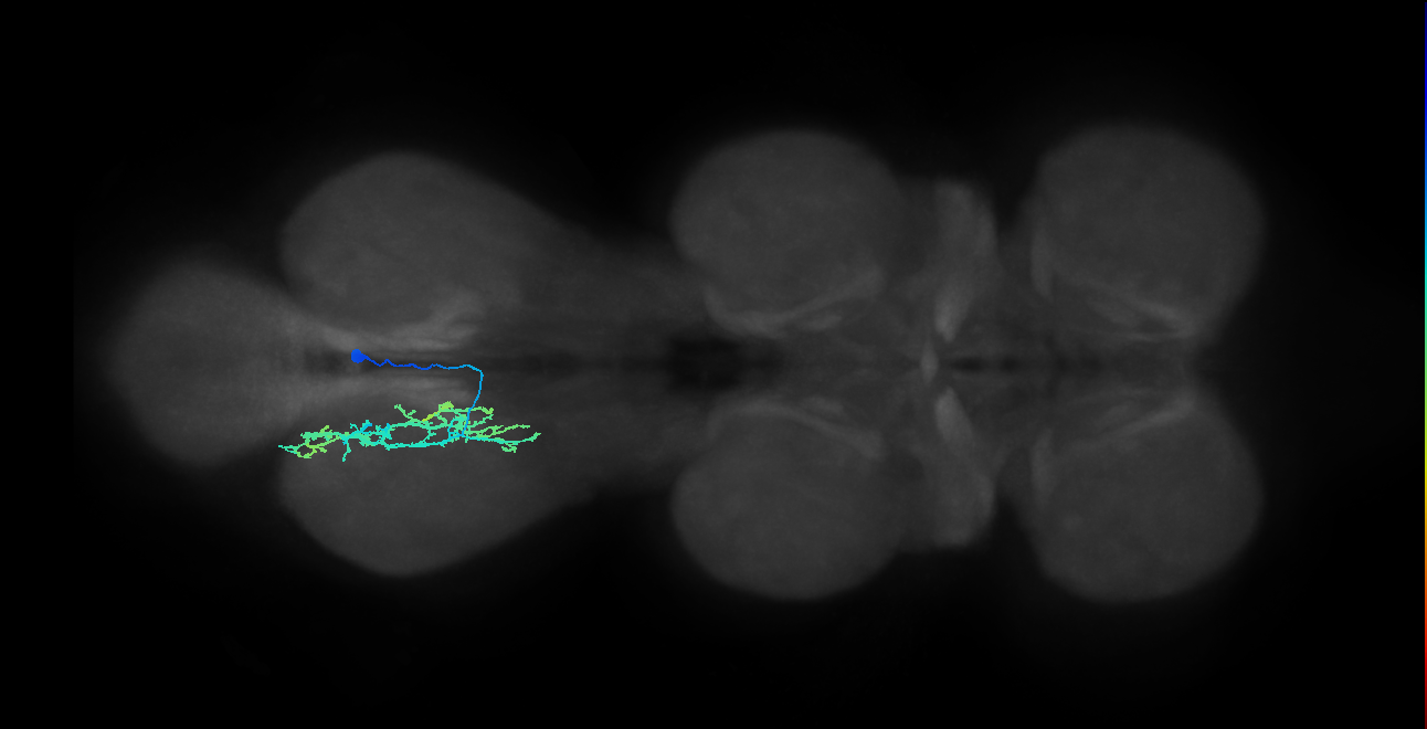 IN14A007_T3_R (MANC:23045)