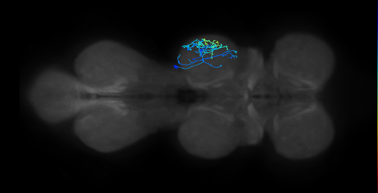 IN20A.22A017_T2_R (MANC:23140)