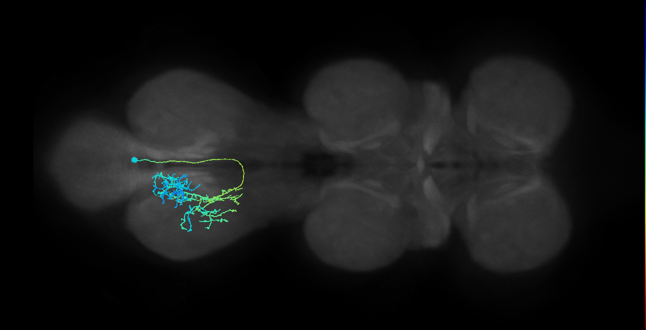 IN12B013_T3_R (MANC:23218)