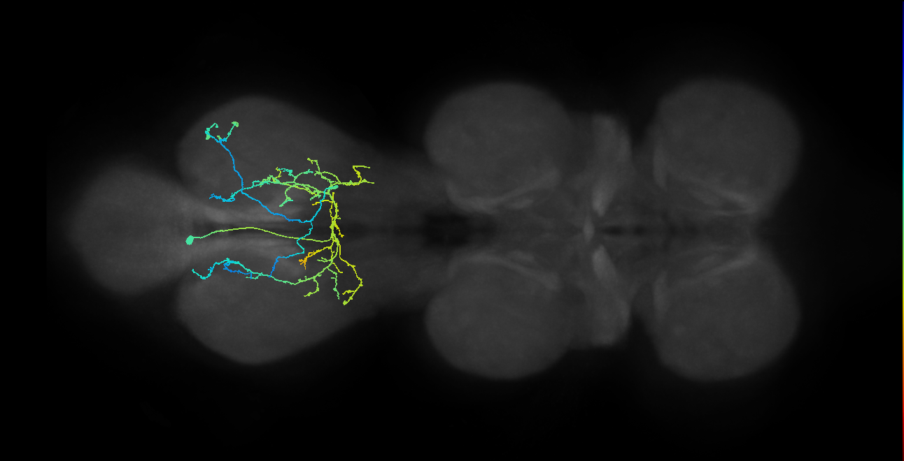 IN12B016_T3_L (MANC:23468)
