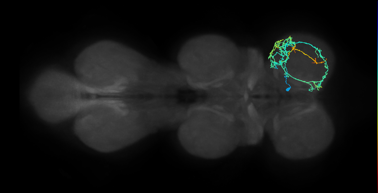 IN04B039_T1_R (MANC:23506)