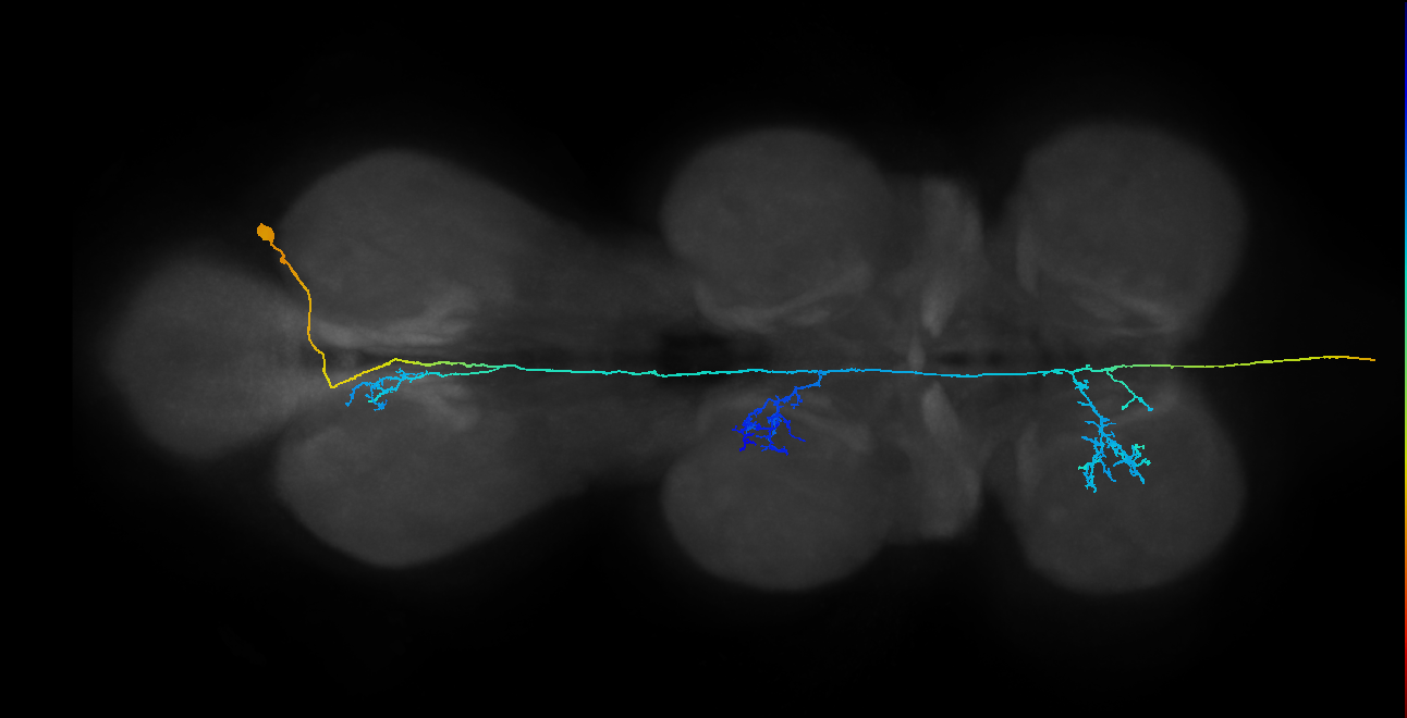 AN09B032_A4_R (MANC:23540)