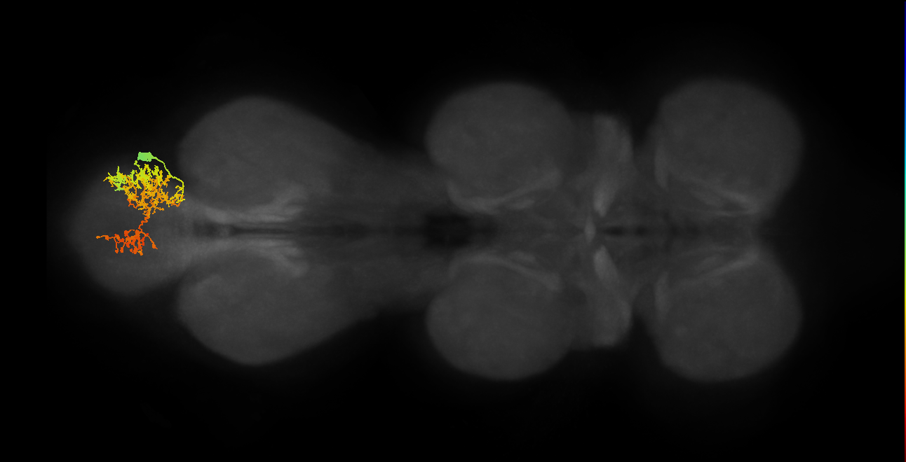 IN06A068_A5_R (MANC:23586)