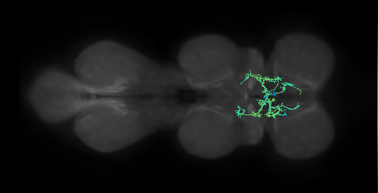 IN00A075_T1_M (MANC:23633)
