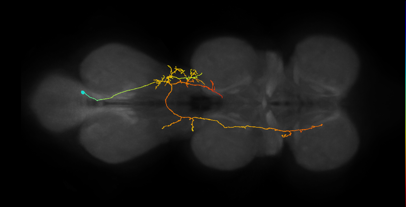 IN06A057_T3_R (MANC:23639)