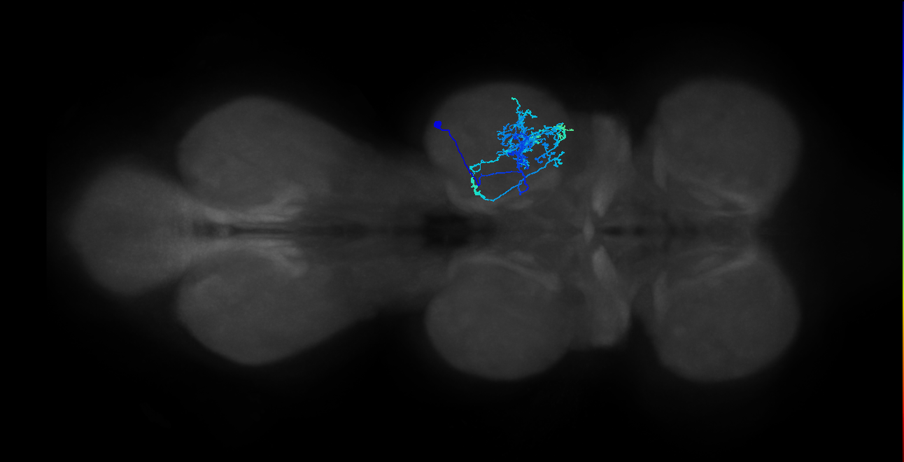 IN01B009_T2_R (MANC:23671)