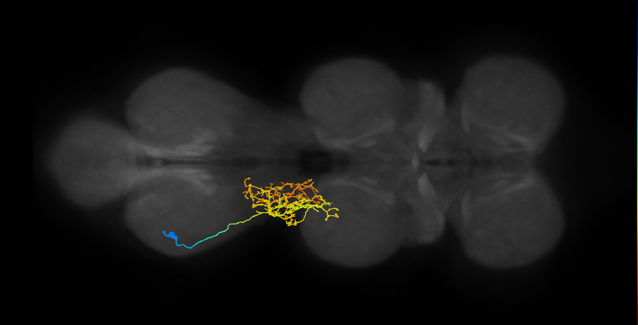 IN16X034_T3_L (MANC:23709)