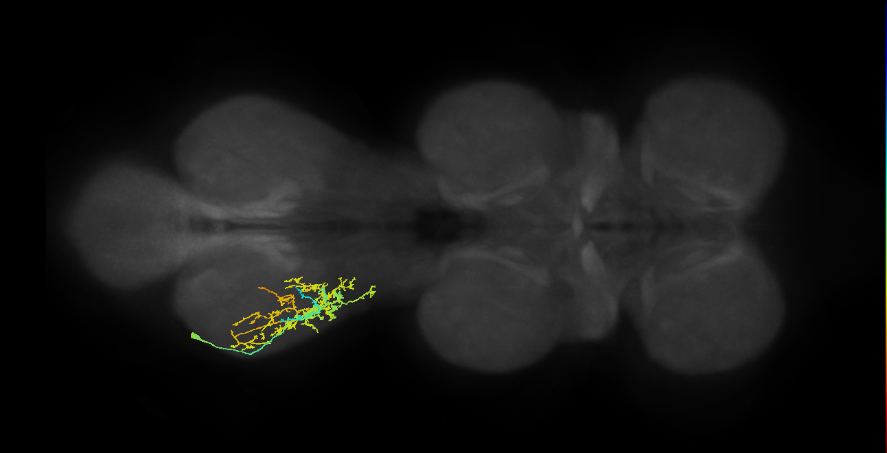 IN08A040_T3_L (MANC:23763)