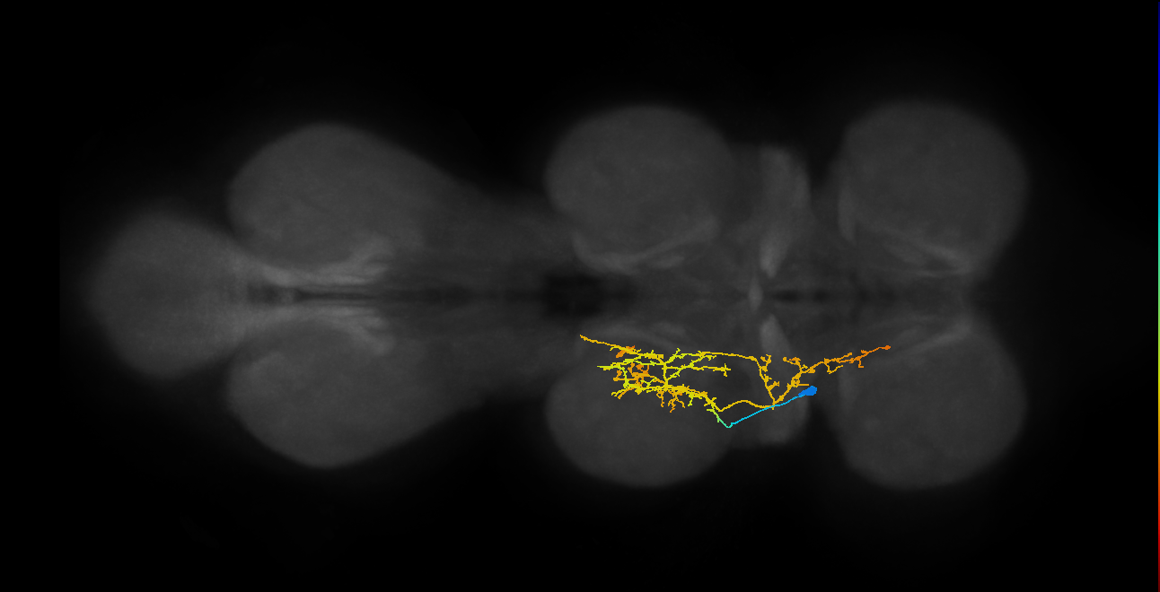 IN16X036_T2_L (MANC:23769)