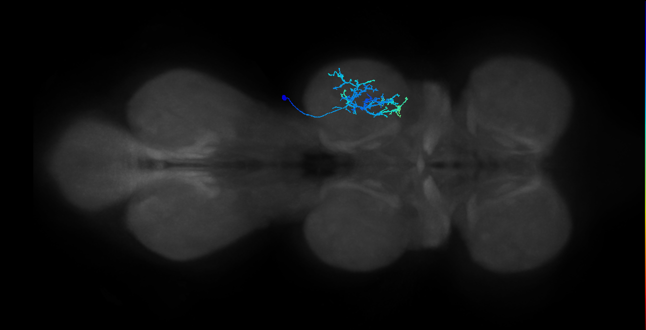 IN20A.22A021_T2_R (MANC:23792)