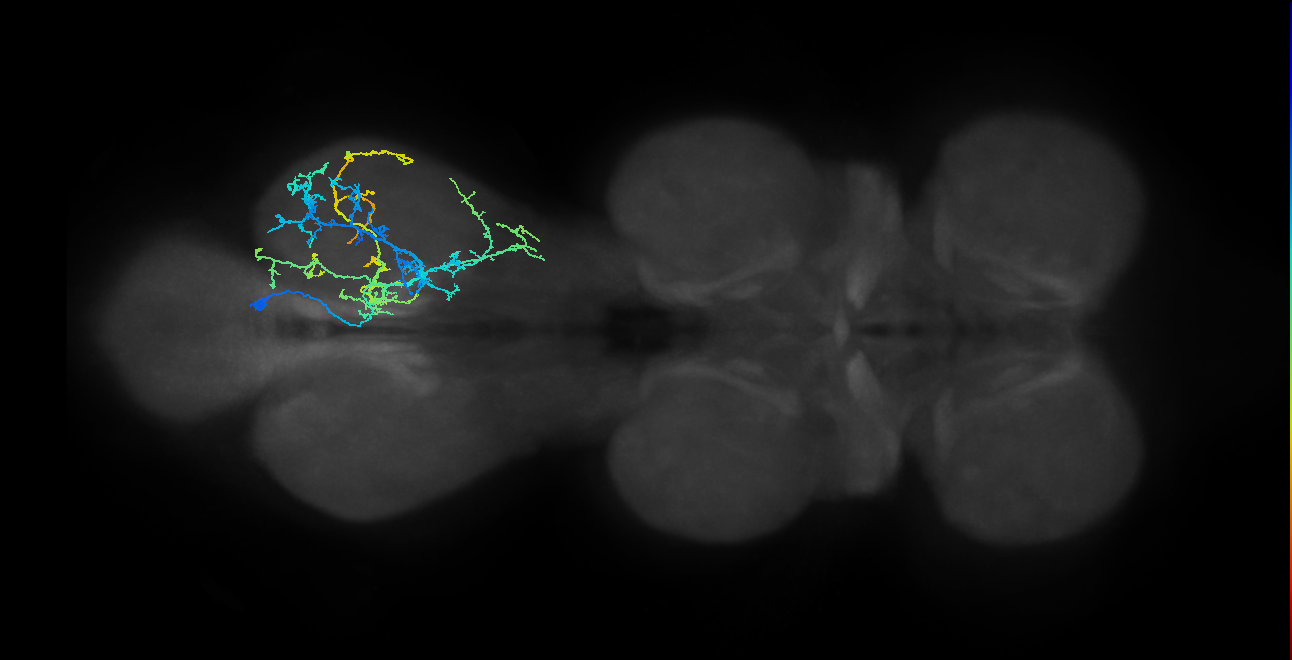 IN04B038_T3_R (MANC:23821)