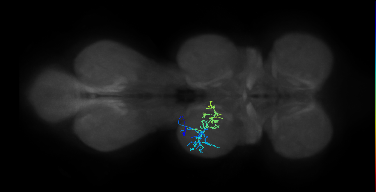 IN20A.22A021_T2_L (MANC:23879)