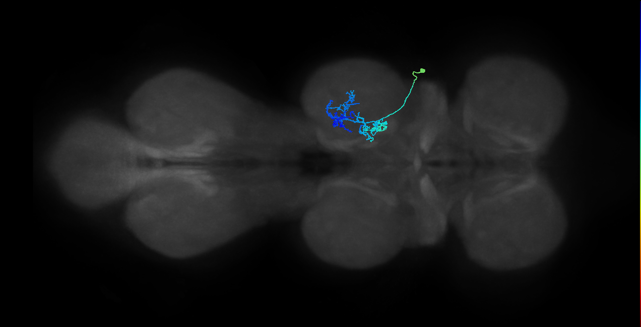 IN09A031_T2_R (MANC:23885)
