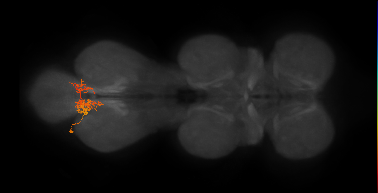 IN06A063_A3_L (MANC:23922)