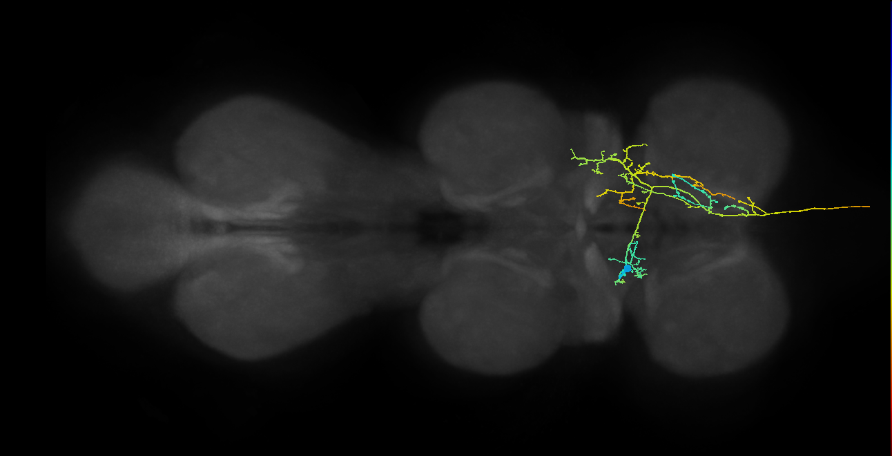 AN12B023_T1_L (MANC:23998)