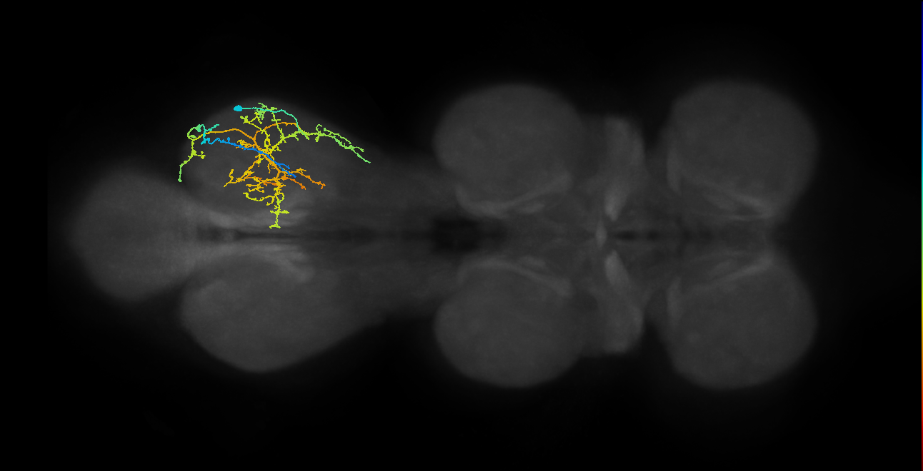 IN08A036_T3_R (MANC:24009)