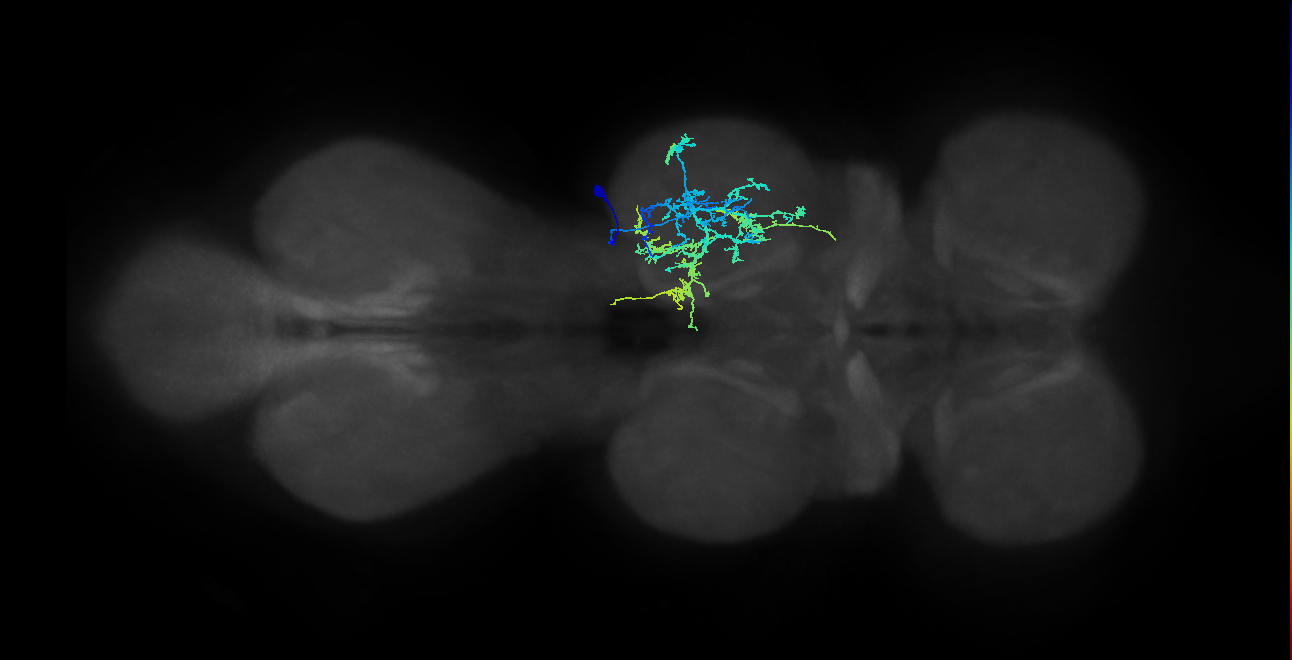 IN20A.22A015_T2_R (MANC:24010)