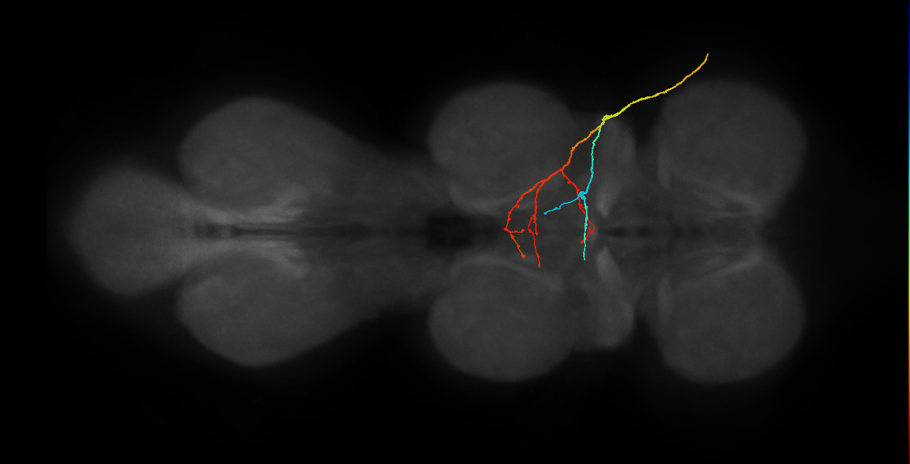 SNpp06_ADMN_R (MANC:24047)