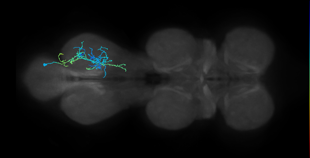 IN20A.22A023_T3_R (MANC:24080)