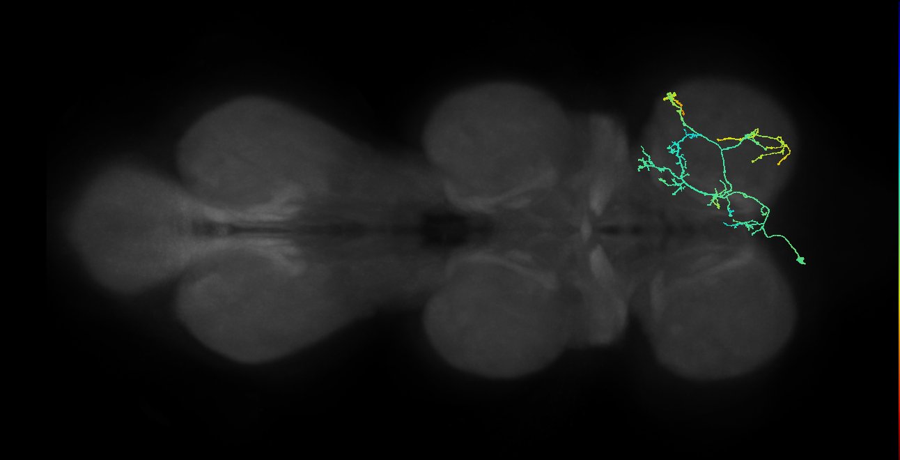 IN14A003_T1_L (MANC:24222)