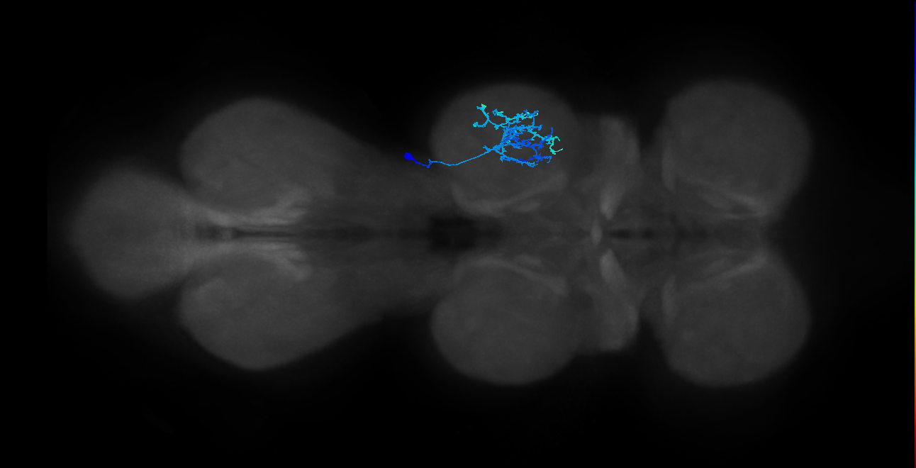 IN20A.22A021_T2_R (MANC:24262)
