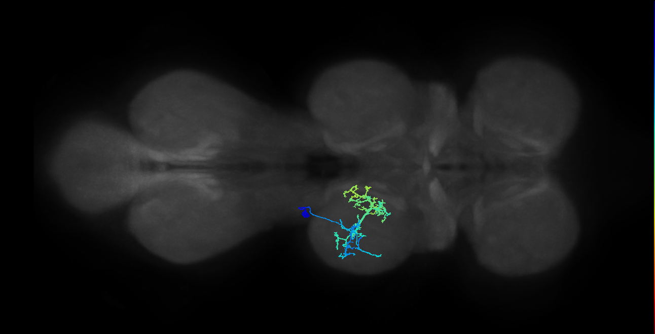 IN20A.22A021_T2_L (MANC:24320)