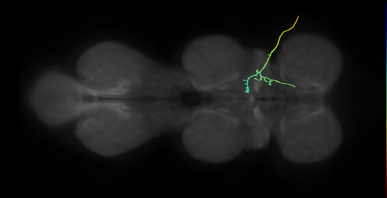 SNpp11_ADMN_R (MANC:24354)