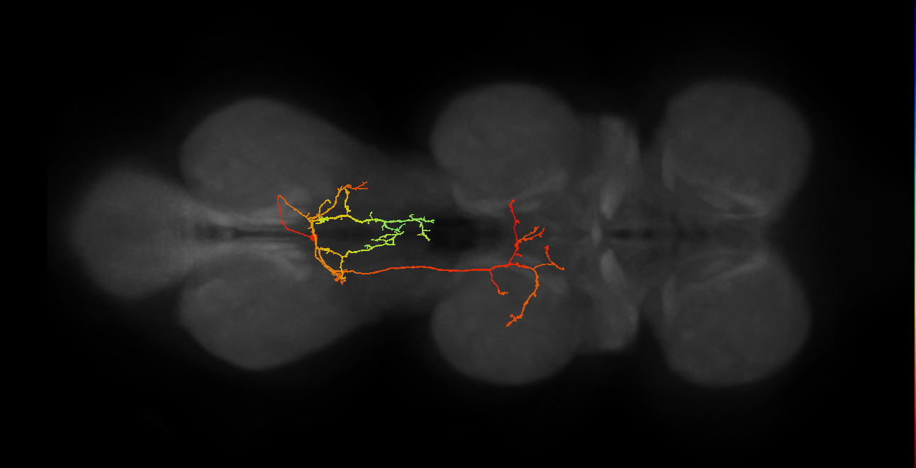 IN19B080_A1_R (MANC:24403)