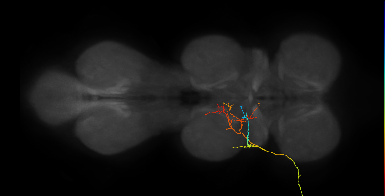 SNxxxx_ADMN_L (MANC:24596)