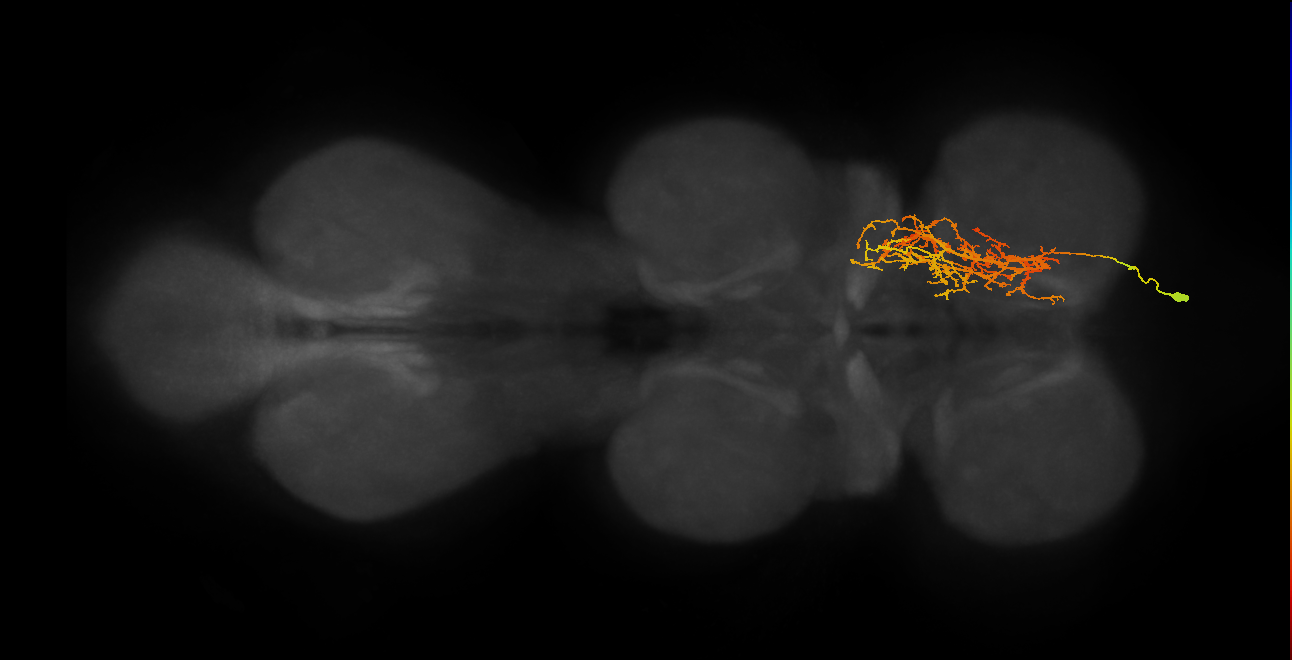 IN16X041_T1_R (MANC:24686)