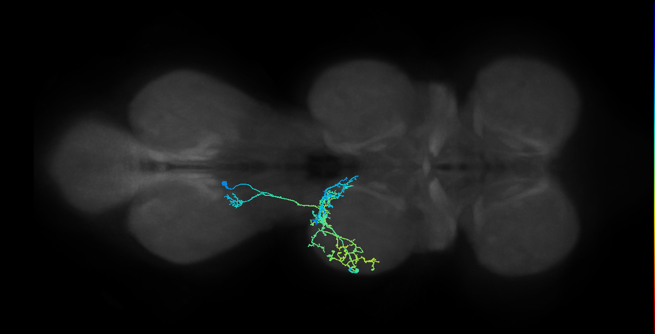 IN03A009_T2_L (MANC:24695)
