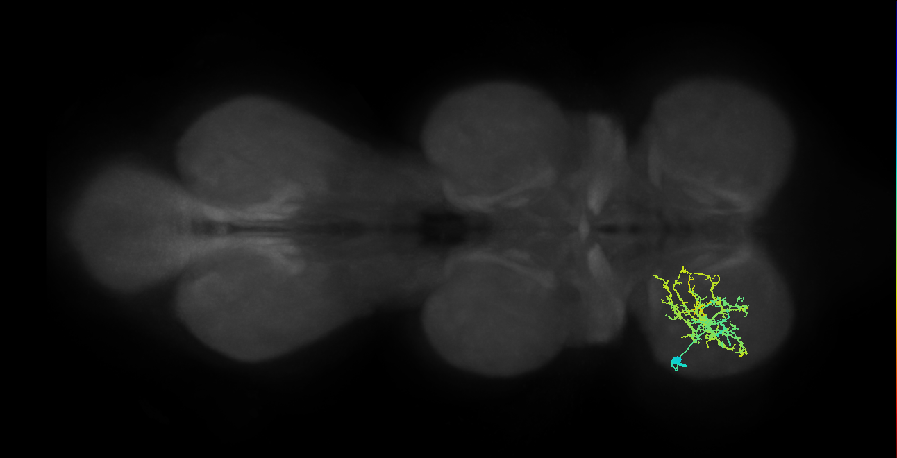 IN20A.22A014_T1_L (MANC:24723)