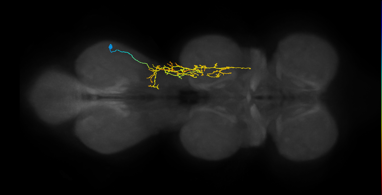 IN16X038_T3_R (MANC:24817)