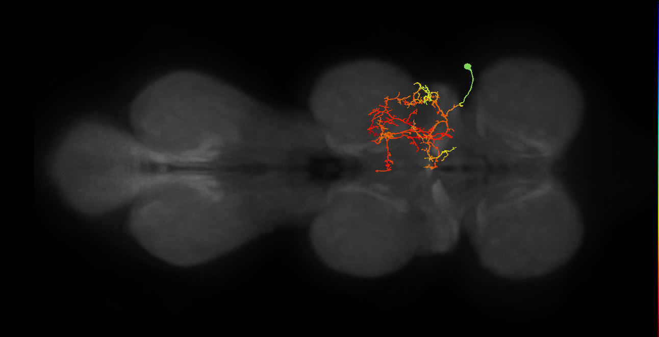 IN03B064_T1_R (MANC:24849)