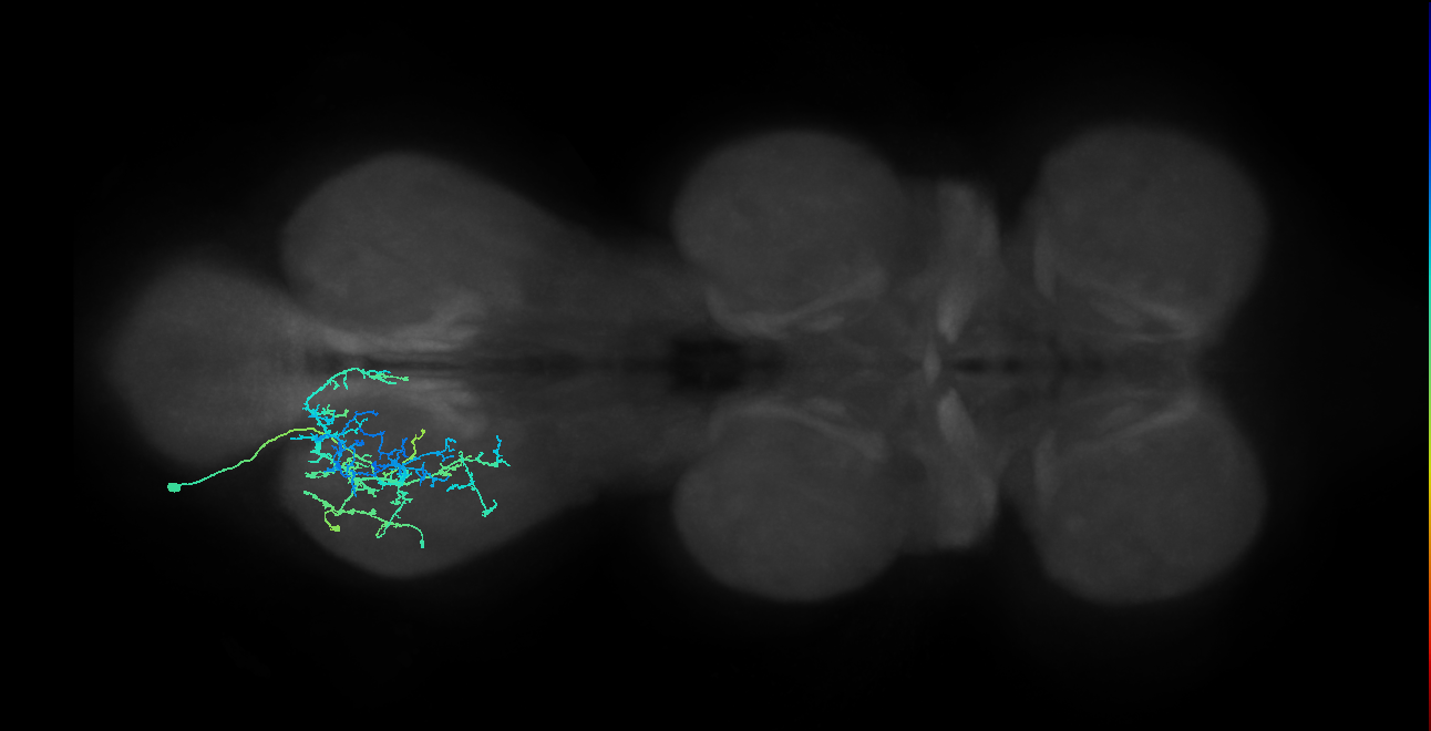 IN20A.22A011_T3_L (MANC:24979)