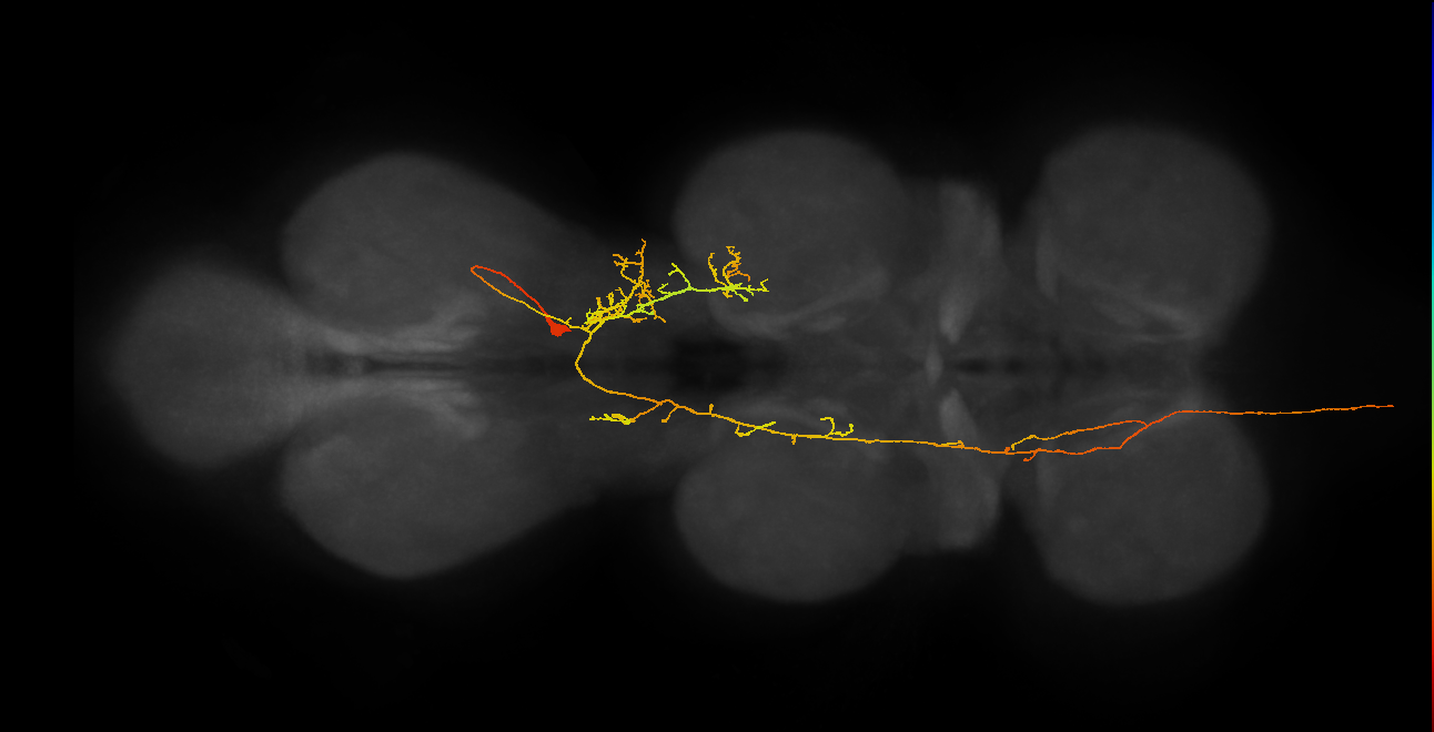 AN19B089_T3_R (MANC:25000)